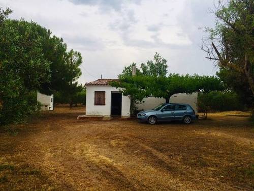 imagen 5 de Venta de finca de almendros con vivienda