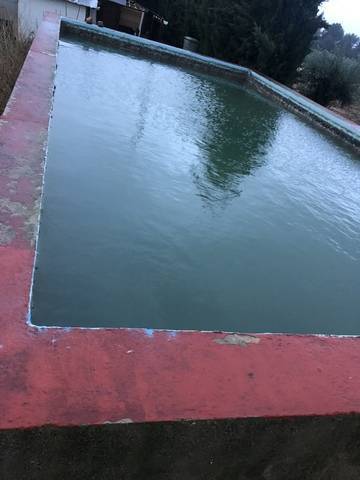 imagen 4 de Venta de finca de naranjos con vivienda en Tarragona