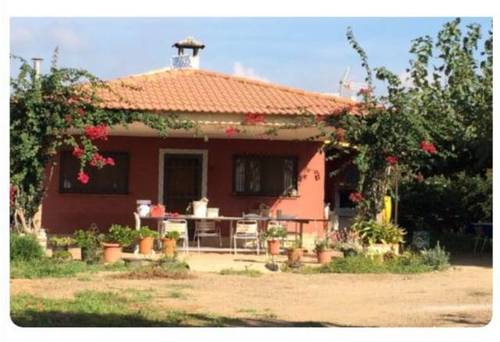 imagen 1 de Venta de finca con vivienda en Montbrio del Camp