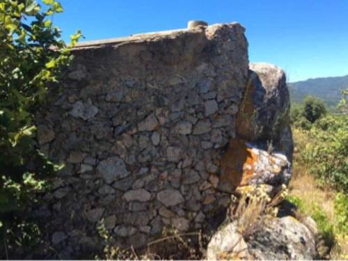 imagen 2 de Venta de finca de avellanos en Cambrils