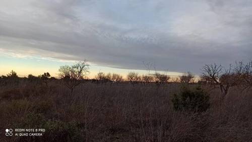 imagen 1 de Venta de finca de almendros en Gandesa