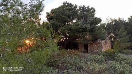 imagen 4 de Venta de finca de almendros en Gandesa