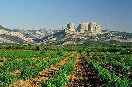 imagen 1 de Venta de finca con vistas espectaculares en Bot (Tarragona)
