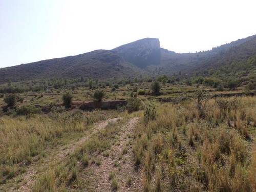 imagen 3 de Venta de finca con vistas espectaculares en Bot (Tarragona)