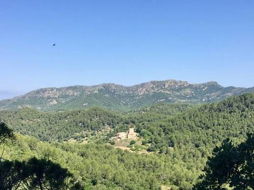 imagen 2 de Venta de finca con Masía y varias construcciones