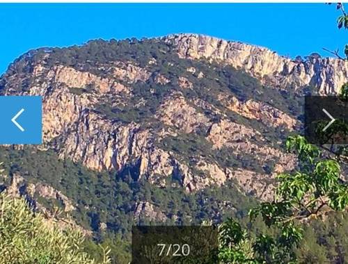 imagen 1 de Venta de finca de olivos en Benifallet