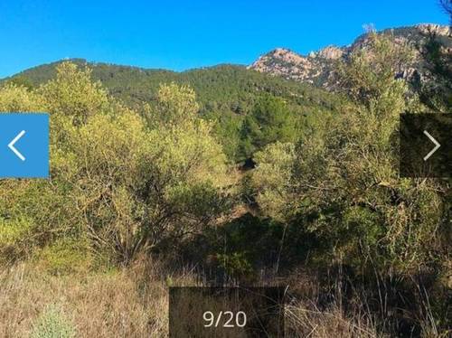 imagen 2 de Venta de finca de olivos en Benifallet