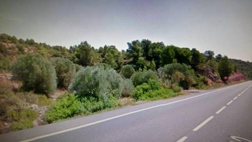 imagen 1 de Venta de finca en Flix (Tarragona)