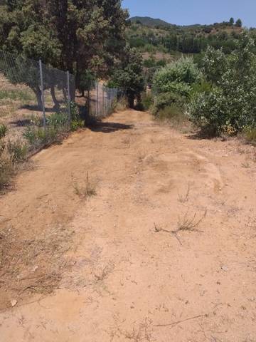 imagen 1 de Venta de finca rústica en Riudecols