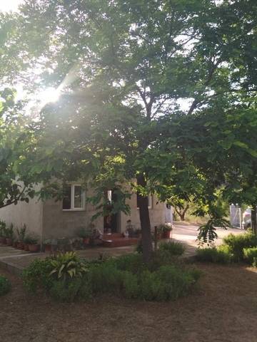 imagen 1 de Venta de finca con frutales y casa rural