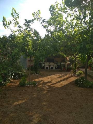imagen 2 de Venta de finca con frutales y casa rural