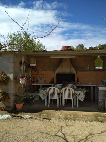 imagen 4 de Venta de finca con frutales y casa rural