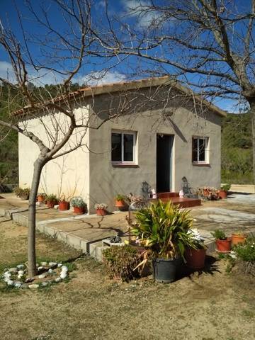 imagen 3 de Venta de finca con frutales y casa rural
