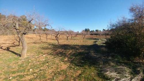 imagen 1 de Venta de finca rústica rodeada de naturaleza en L´Espulgas de Francoli