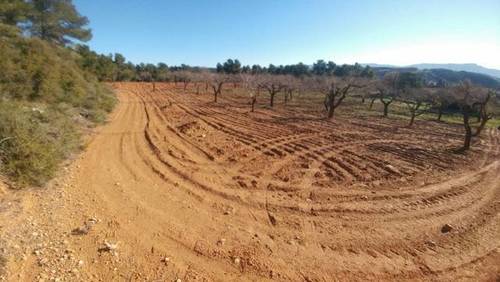 imagen 2 de Venta de finca rústica rodeada de naturaleza en L´Espulgas de Francoli