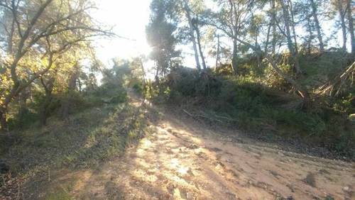 imagen 3 de Venta de finca rústica rodeada de naturaleza en L´Espulgas de Francoli