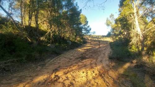 imagen 1 de Venta de finca rústica rodeada de naturaleza en L´Espulgas de Francoli