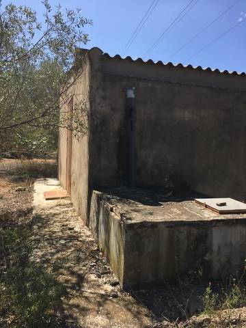 imagen 3 de Venta de finca con olivos y algarrobos en El Perelló (Tarragona)