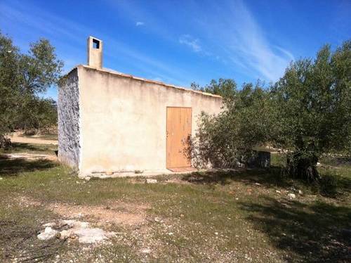 imagen 2 de Venta de finca con olivos y algarrobos en El Perelló (Tarragona)