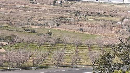 imagen 1 de Venta de finca con almendros, olivo y algarrobos en Tarragona