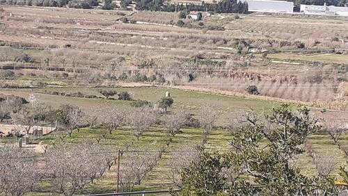 imagen 1 de Venta de finca con almendros, olivo y algarrobos en Tarragona