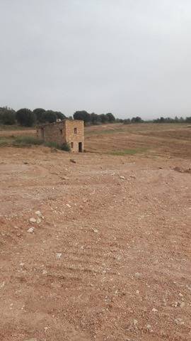 imagen 1 de Venta de finca de almendros en Flix (Tarragona)