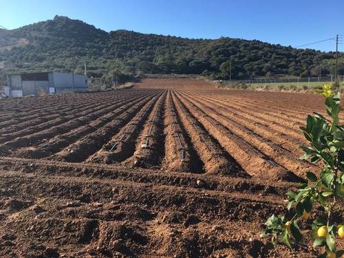 imagen 1 de Venta de finca rústica bien ubicada en Amposta