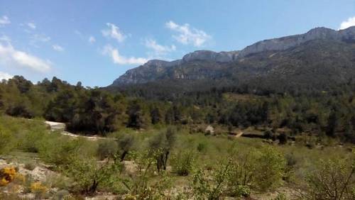 imagen 1 de Venta de fincas en la sierra La Torre de Fontaubella (Tarragona)