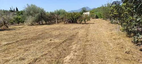 imagen 1 de Venta de finca con almacén en Andover