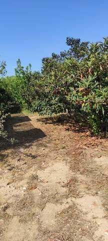imagen 1 de Venta de finca con almacén en Andover