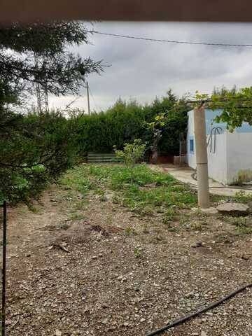 imagen 1 de Venta de olivar en La sénia (Tarragona)