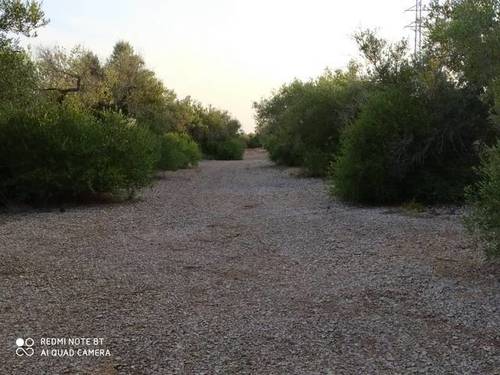 imagen 1 de Venta de finca rústica de olivos con caseta en L´Ampolla (Tarragona)