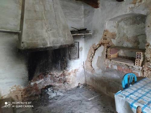 imagen 3 de Venta de finca rústica de olivos con caseta en L´Ampolla (Tarragona)
