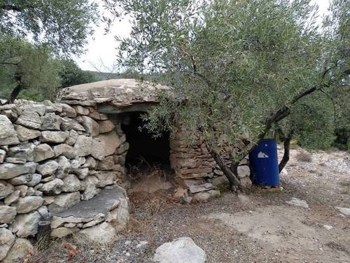 imagen 1 de Venta de finca de olivos en La Senia