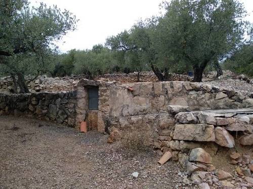 imagen 1 de Venta de finca de olivos en La Senia