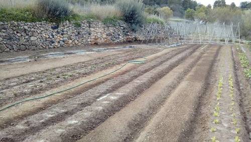 imagen 1 de Venta de terreno con pequeña vivienda en El Masroig