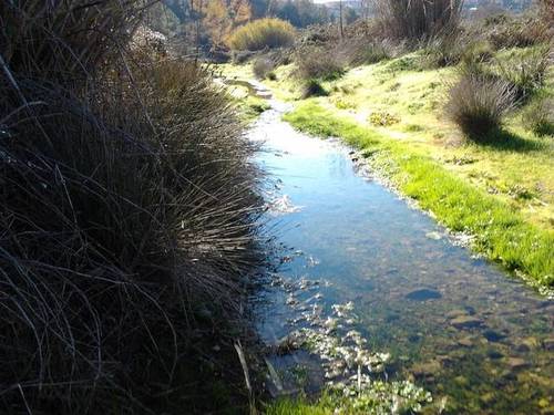 imagen 2 de Venta de terreno con pequeña vivienda en El Masroig