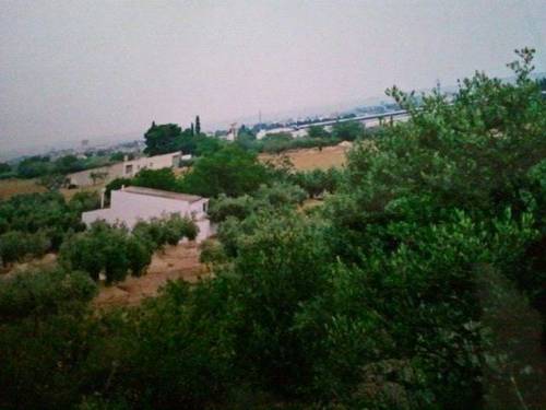imagen 1 de Venta de terreno con olivos y pequeña casita en Aldea (Tarragona)