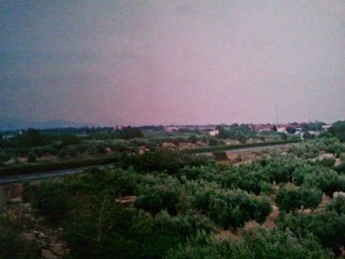 imagen 3 de Venta de terreno con olivos y pequeña casita en Aldea (Tarragona)