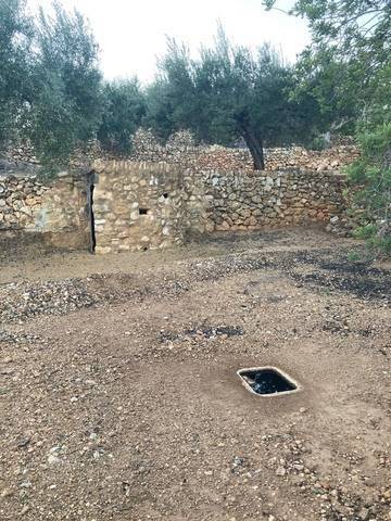 imagen 4 de Finca rústica con casa en El Perelló