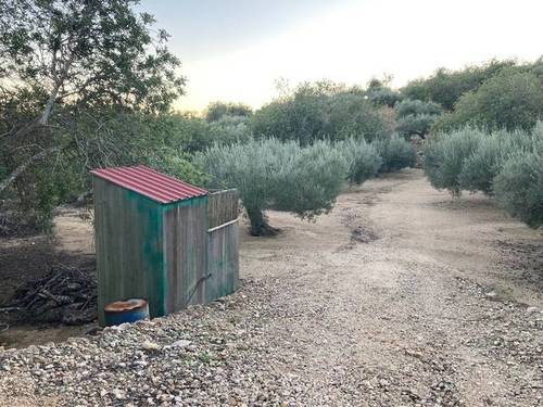 imagen 3 de Finca rústica con casa en El Perelló