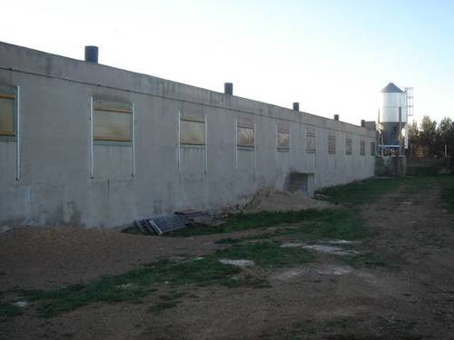 imagen 1 de Venta de granja de porcino en La Senia