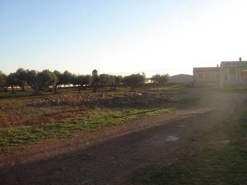 imagen 3 de Venta de granja de porcino en La Senia