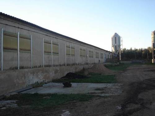 imagen 4 de Venta de granja de porcino en La Senia