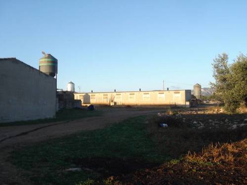 imagen 5 de Venta de granja de porcino en La Senia