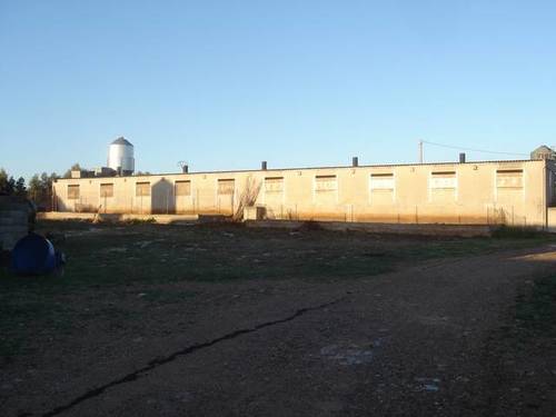 imagen 6 de Venta de granja de porcino en La Senia