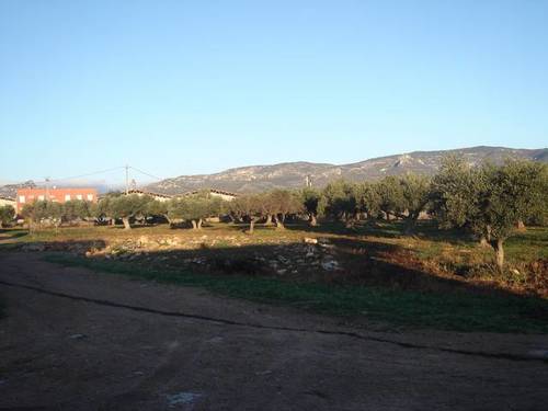 imagen 7 de Venta de granja de porcino en La Senia