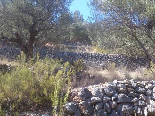 imagen 1 de Venta de finca rústica con bonitas vistas en Tortosa (Tarragona)