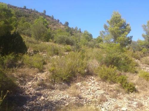 imagen 1 de Venta de finca rústica con bonitas vistas en Tortosa (Tarragona)