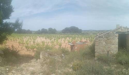 imagen 3 de Venta de terreno con viñedo en Batea (Tarragona)